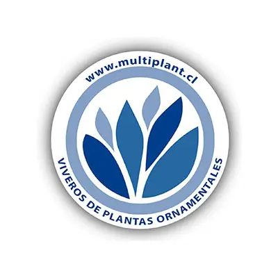 Logo de multiplant